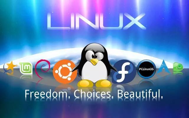 win系统和Linux系统哪个做服务器更加安全呢?