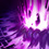 lolӢ֮ۼܽ